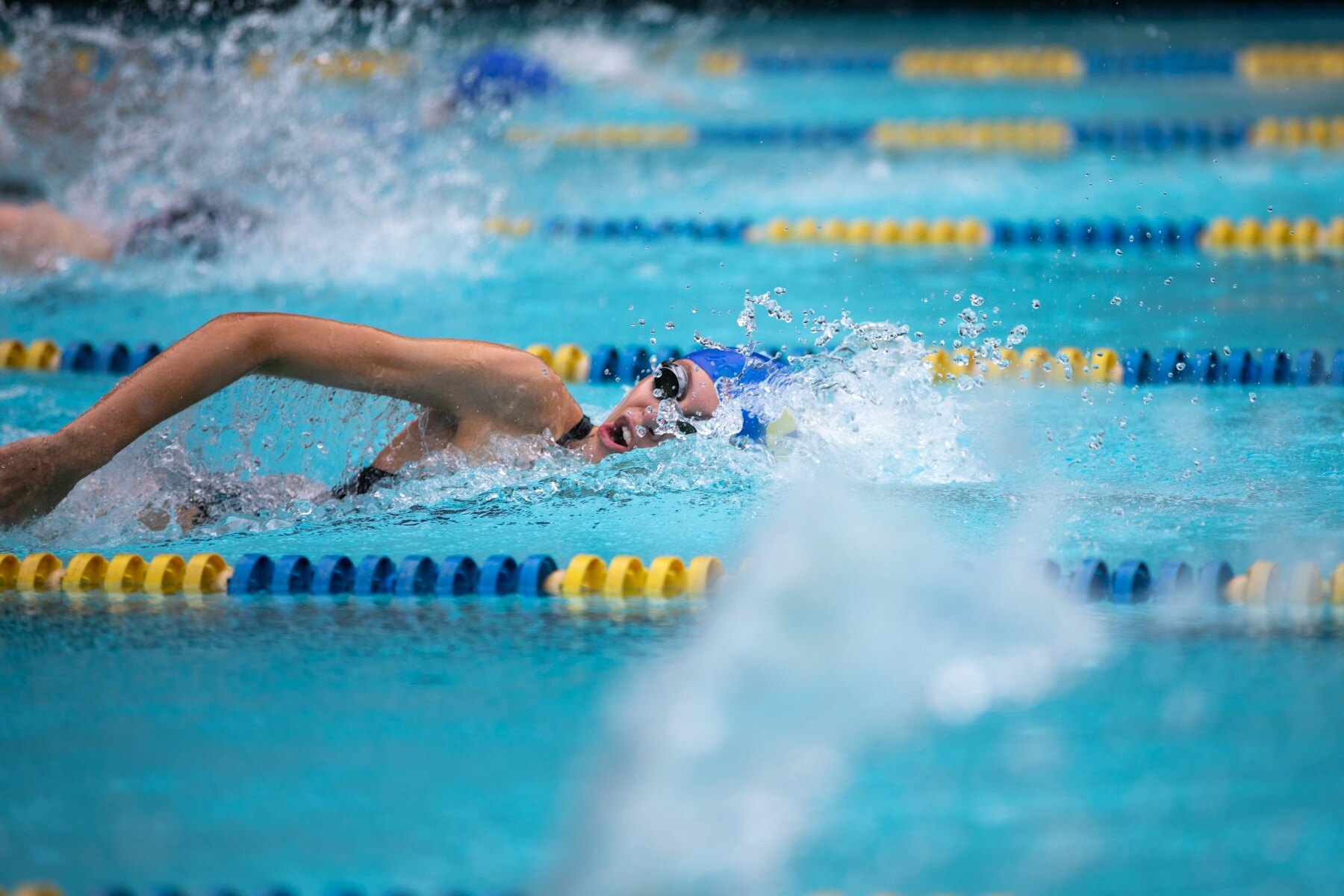 A real swimmer training in a lane pool